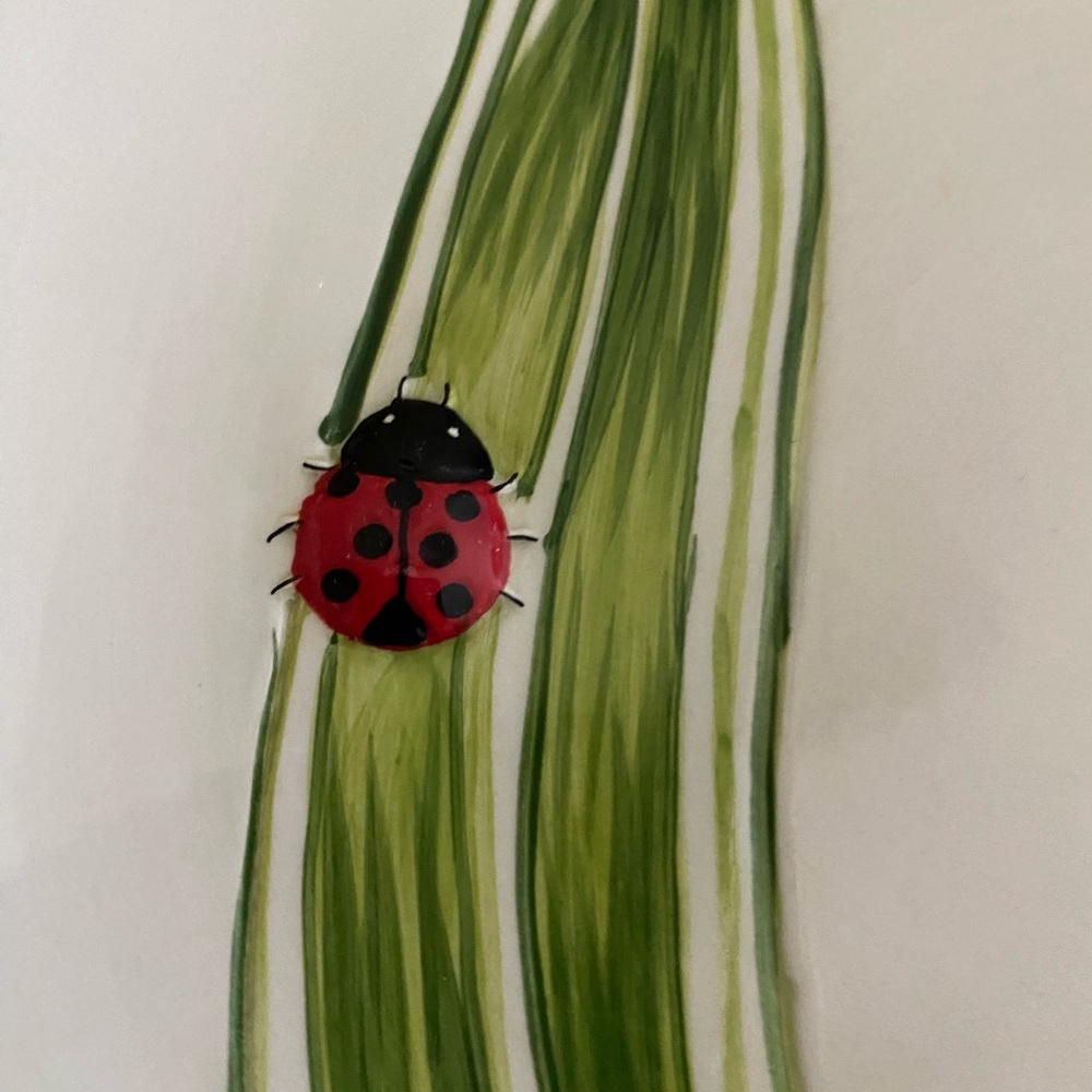 Pier 1 Imports Ladybug Earthenware Plate - Picture 4 of 5